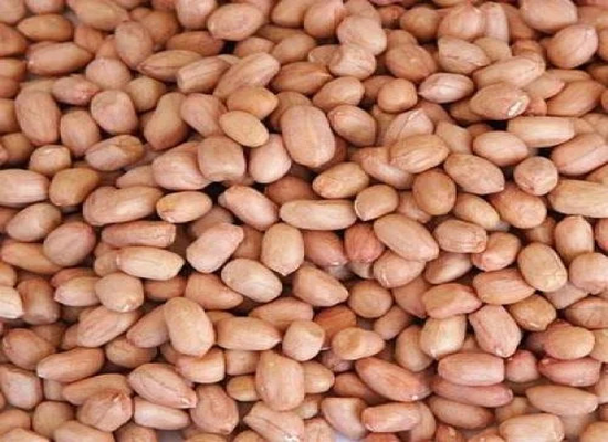 BLANCHED PEANUTS